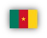 Drapeau Cameroun