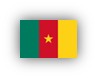 Drapeau Cameroun